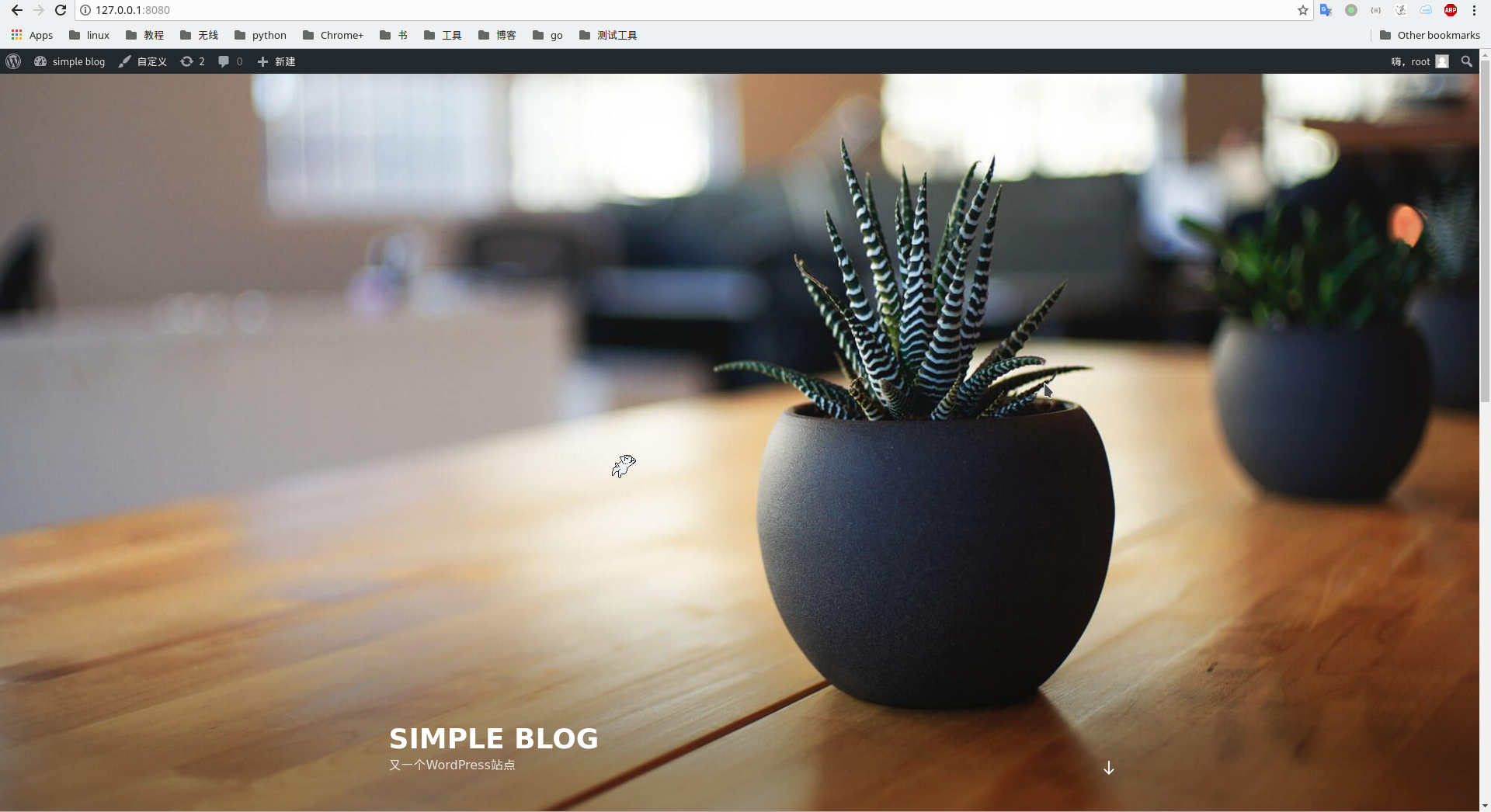 compose_wordpress_success