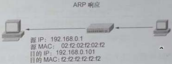 ARP响应示例