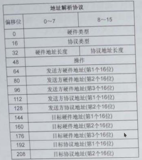 ARP头部