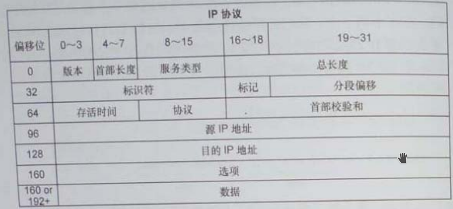 IPv4头部